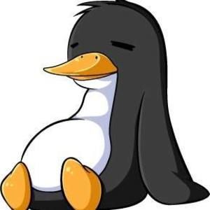 Meet your Posher, Devon